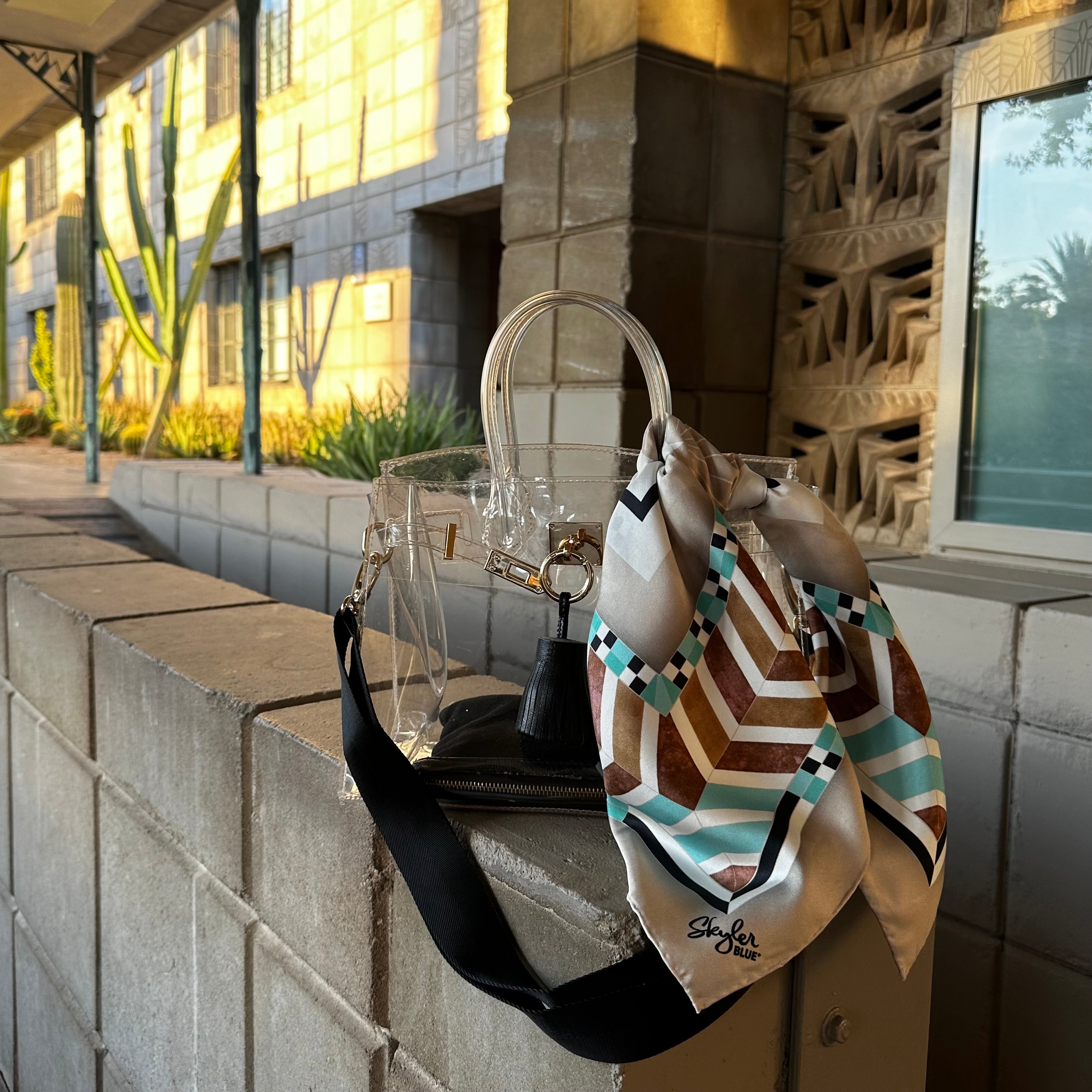 The Biltmore Clear Large Satchel Bag