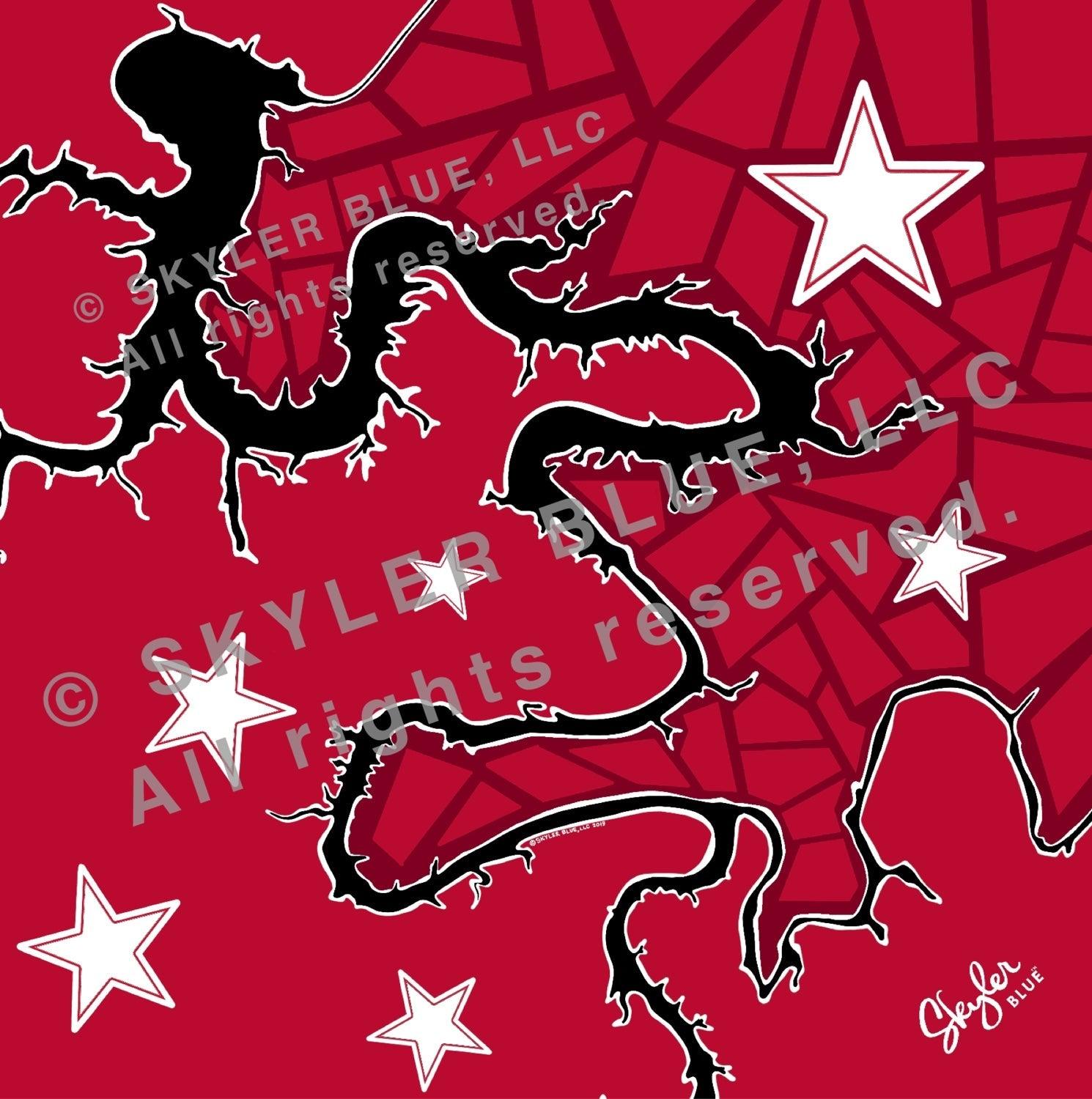 The Lake Travis Scarf 36in