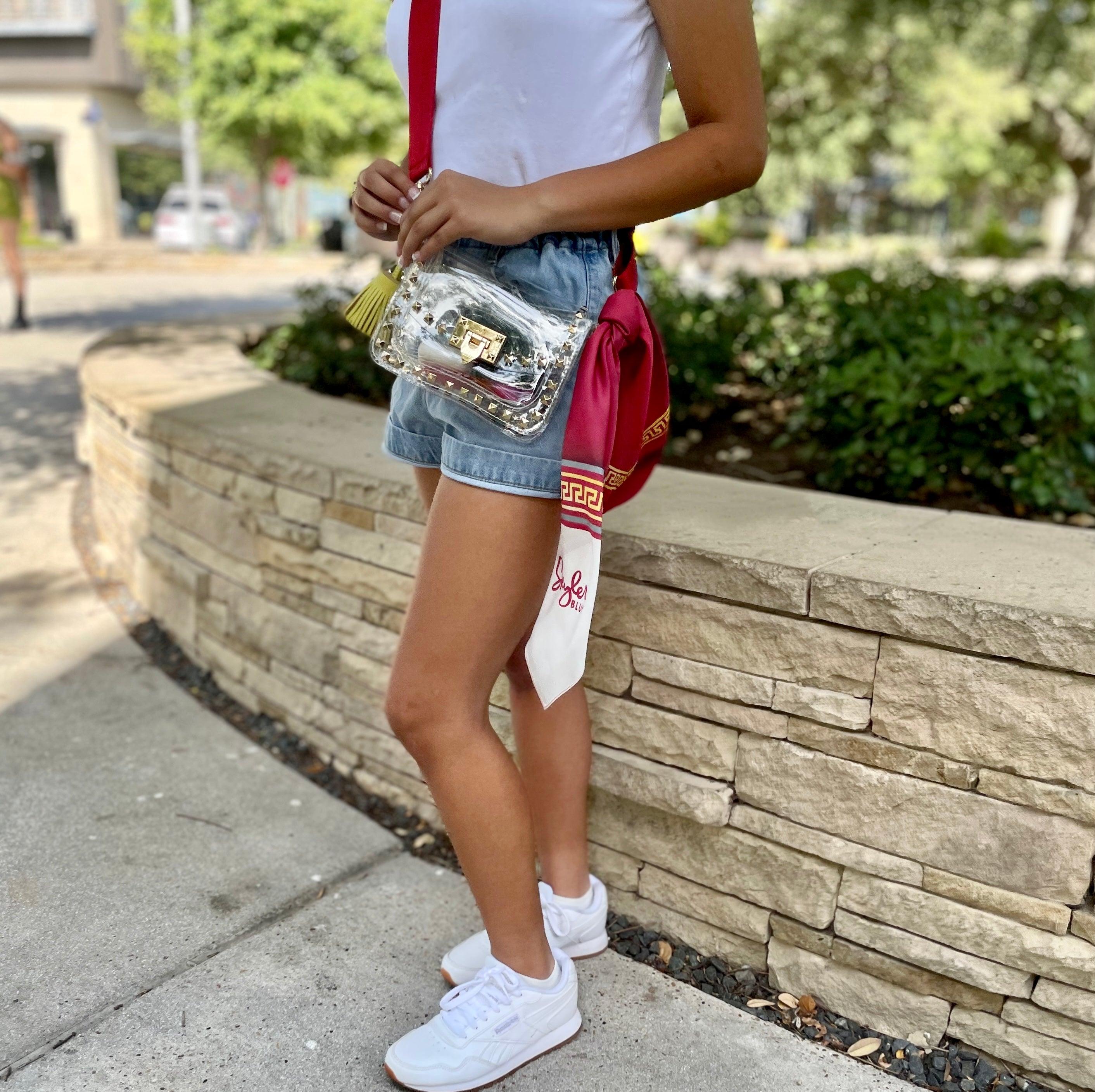 The Troy 001 Clear Small Studded Bag