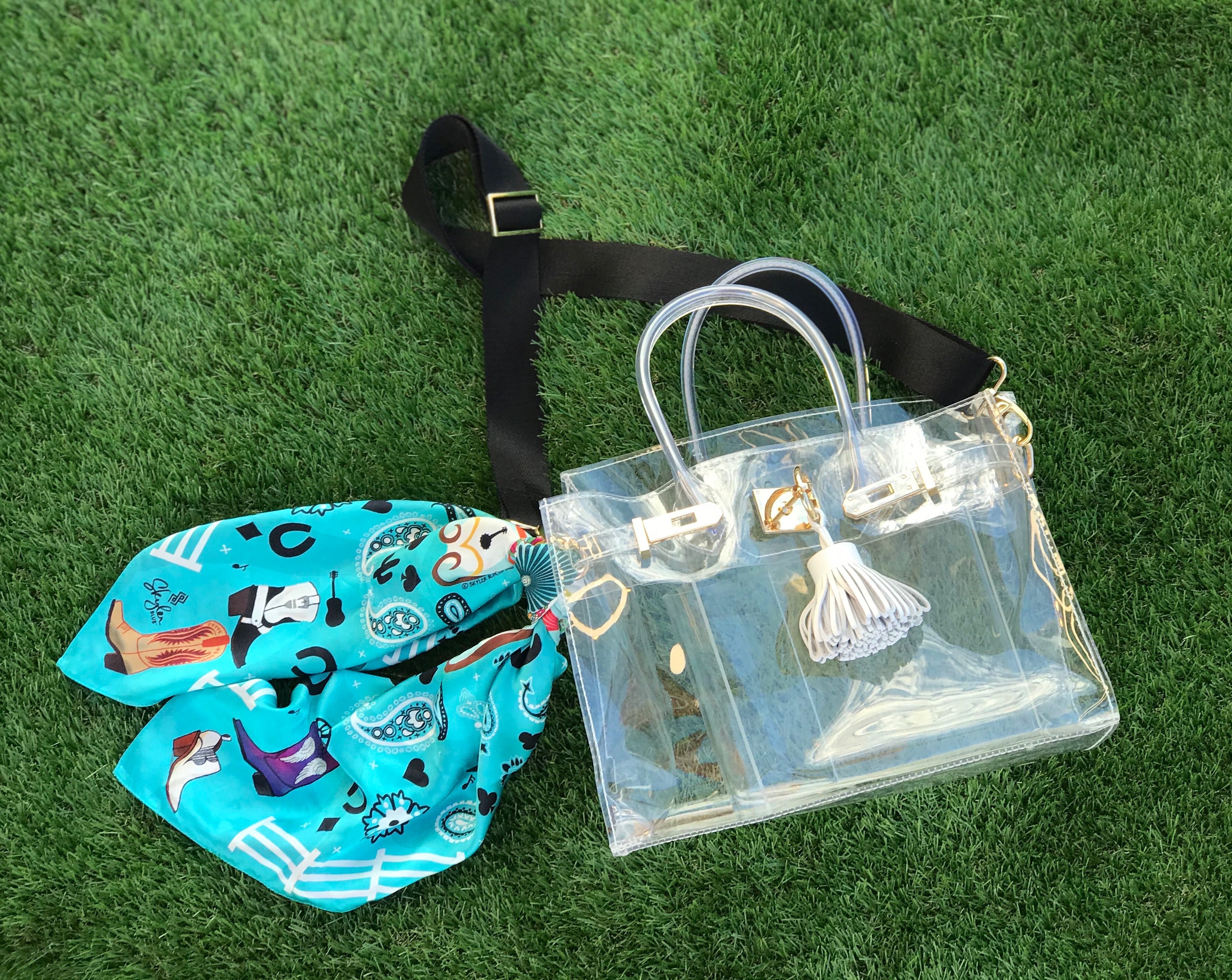 The Rodeo Clear Large Satchel Bag