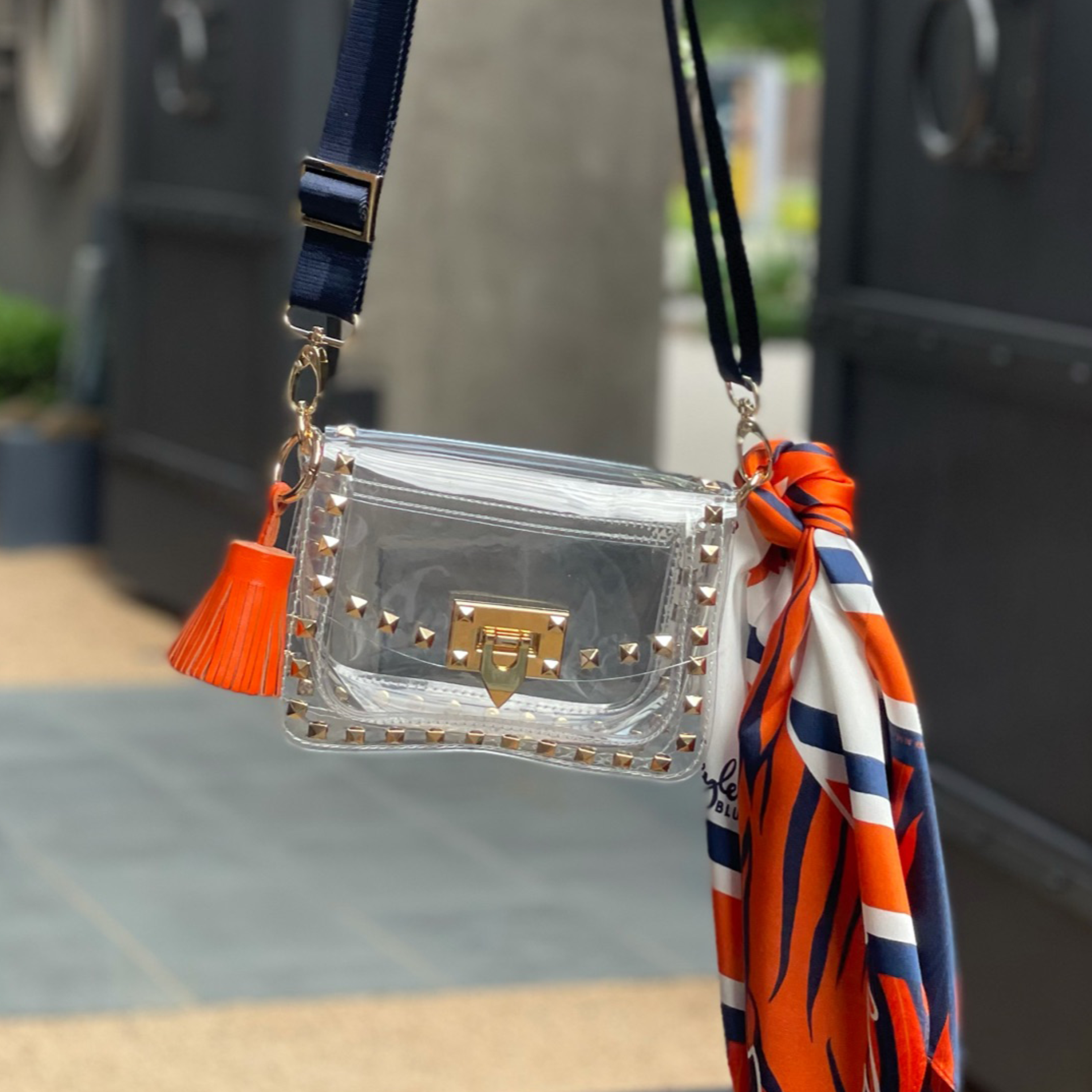The Toomer Clear Small Studded Bag